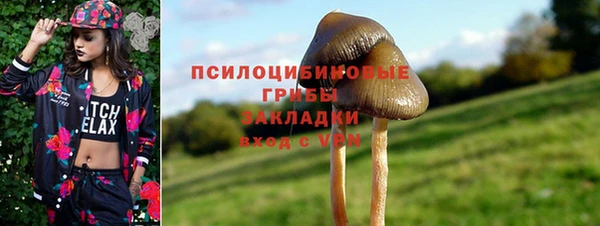 прущие грибы Богородск