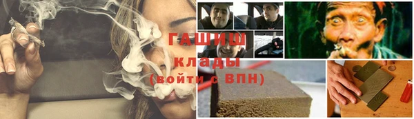 сатива Богданович