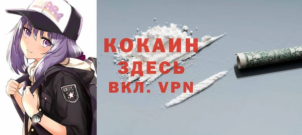 прущие грибы Богородск