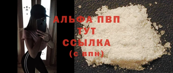 прущие грибы Богородск