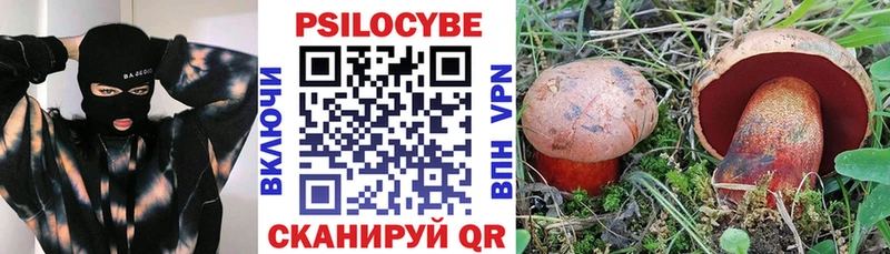 Галлюциногенные грибы Magic Shrooms  Бобров 